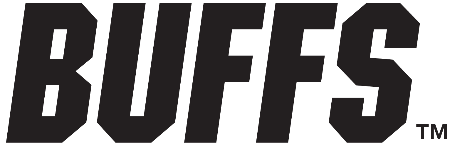 Colorado Buffaloes 2006-Pres Wordmark Logo diy iron on heat transfer